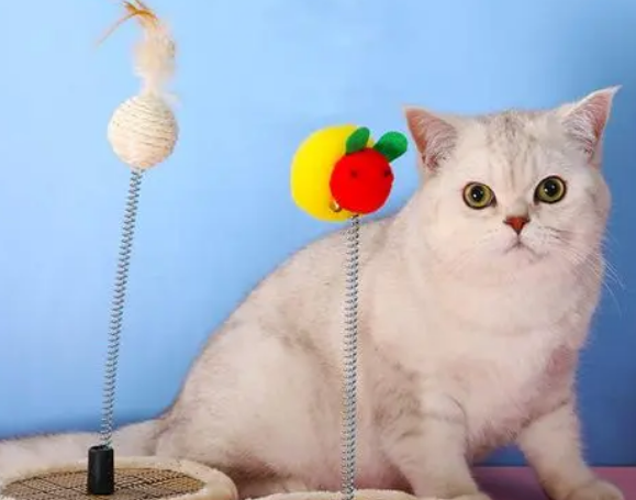 猫玩具怎么做