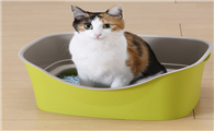 猫砂要全部倒掉换新的吗