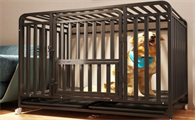 幼犬笼子里训练大小便