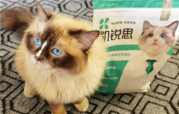 猫砂好的品牌