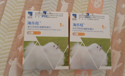 狗狗多大可以体内驱虫
