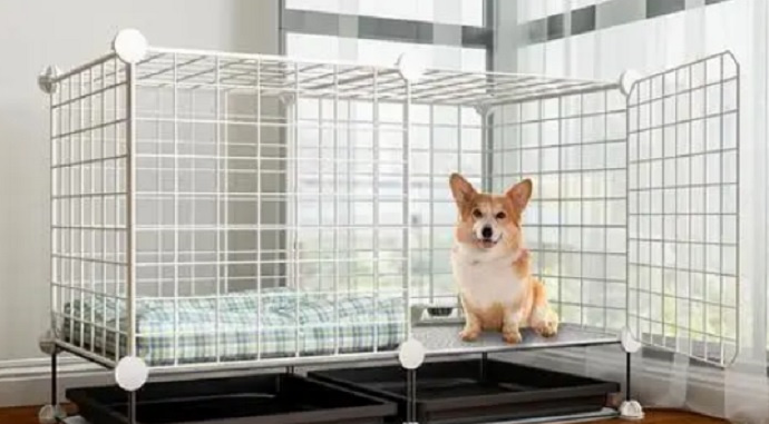 狗笼里需要放狗窝吗