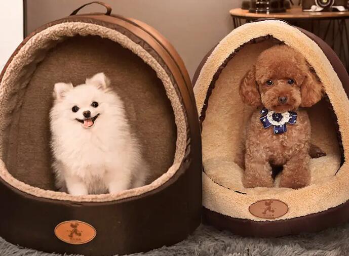 狗窝在哪里买