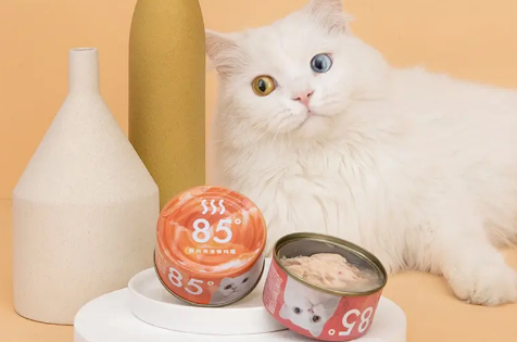 猫罐头可以加水吗