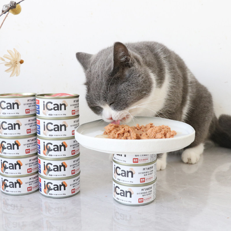 猫咪一天吃多少罐头 猫咪一天吃多少罐头