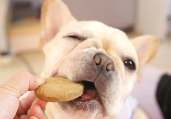 狗狗可以吃哪些零食 狗狗可以吃哪些零食