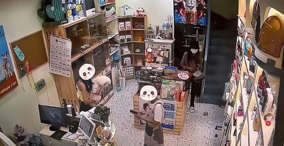 嫌店员给狗洗澡不够温柔，情侣拖拽踢打店员