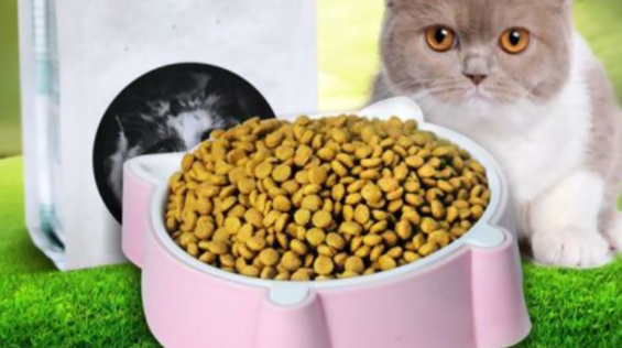 哪个牌子猫粮比较好 哪个牌子猫粮比较好