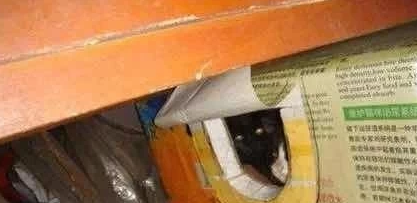 泡沫箱做个猫窝 泡沫箱做个猫窝