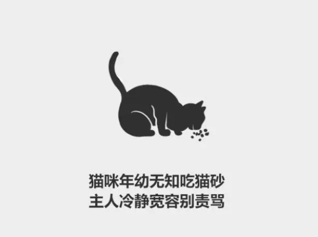 分分钟了解宠物知识——为什么猫会吃猫砂