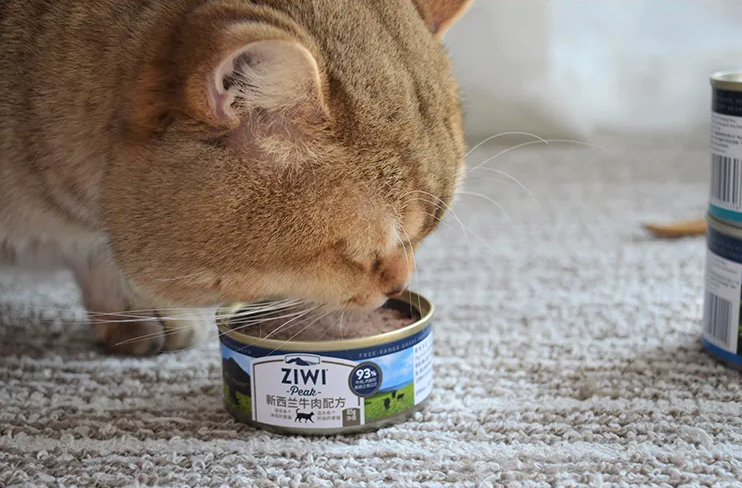 猫罐头是生肉吗