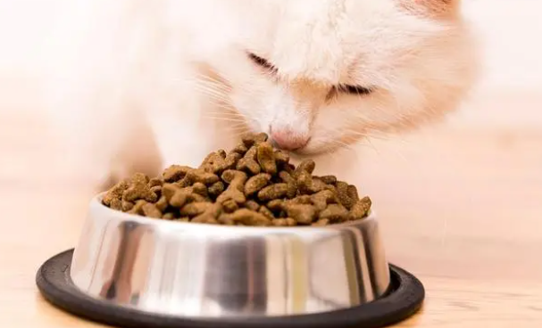 50g猫粮大概多少