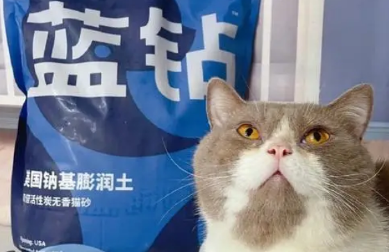 膨润土猫砂什么牌子的好 膨润土猫砂什么牌子的好