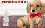 狗狗能用什么眼药水