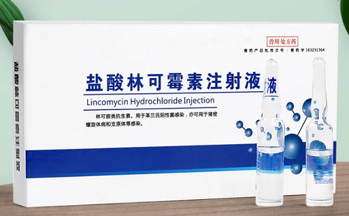 兽用盐酸林可霉素
