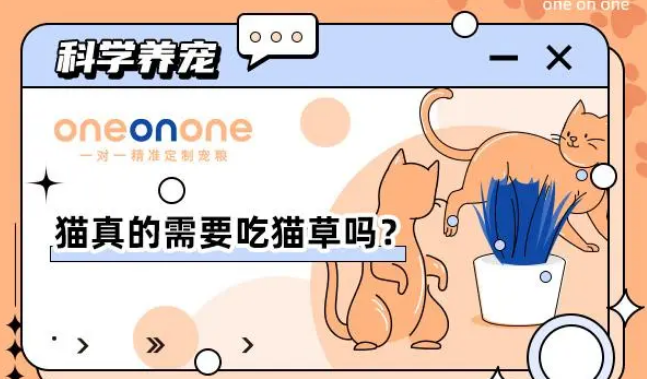 为什么猫咪要吃猫草? 为什么猫咪要吃猫草?