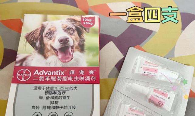 狗狗体外驱虫注意这几点,养狗的那些事 狗狗体外驱虫注意这几点,养狗的那些事