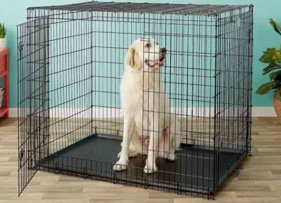 狗笼子怎样消毒