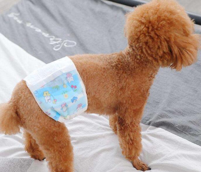 宠物狗用尿不湿好还是尿垫