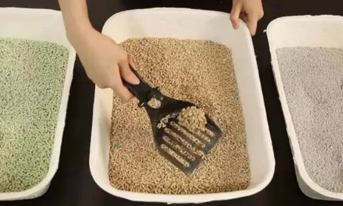 猫砂如何生产出来的 猫砂如何生产出来的