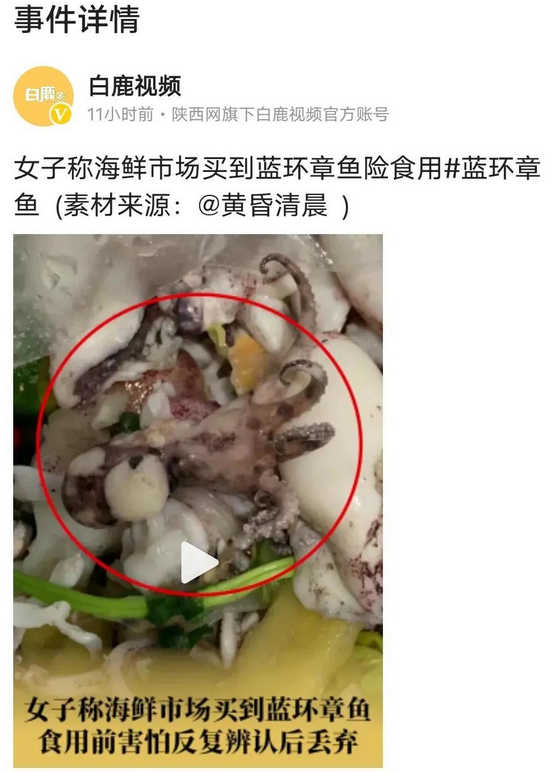 三亚有蓝环章鱼吗,海南蓝环章鱼,哪里有卖蓝环章鱼 三亚有蓝环章鱼吗,海南蓝环章鱼,哪里有卖蓝环章鱼