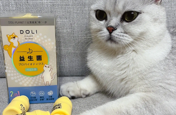 猫咪益生菌怎么选