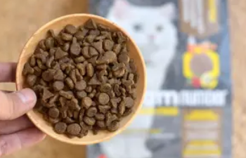 50克猫粮是多少粒 50克猫粮是多少粒