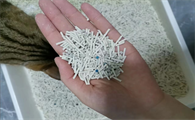进口猫砂品牌排行榜 进口猫砂品牌排行榜