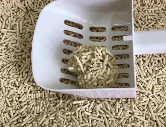 猫砂是怎么用 猫砂是怎么用