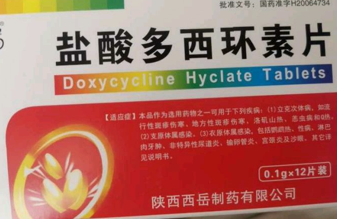 宠物感冒吃什么药