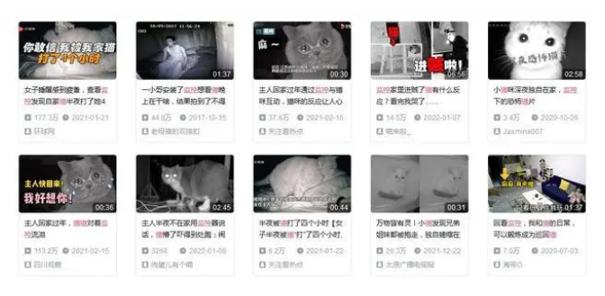 独居神器,养猫必备?家用监控能带来安全感吗? 独居神器,养猫必备?家用监控能带来安全感吗?