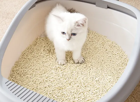 猫砂如何选择