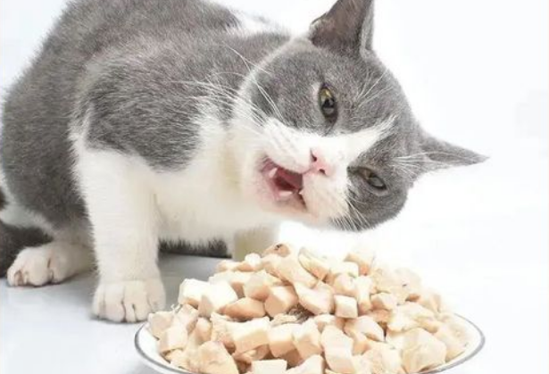 猫零食吃什么最好 猫零食吃什么最好