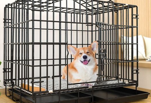 狗笼子什么牌子的好