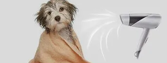 狗狗专用吹水机 狗狗专用吹水机