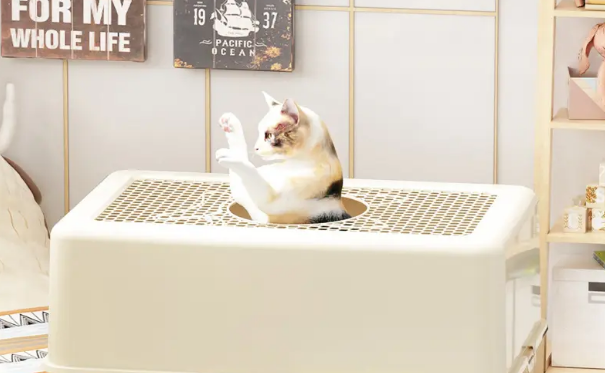 遵化宠物用品