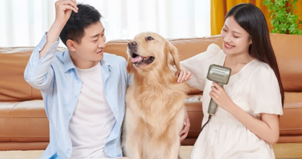 高速吹风机可以给宠物用么?来看看吧 高速吹风机可以给宠物用么?来看看吧