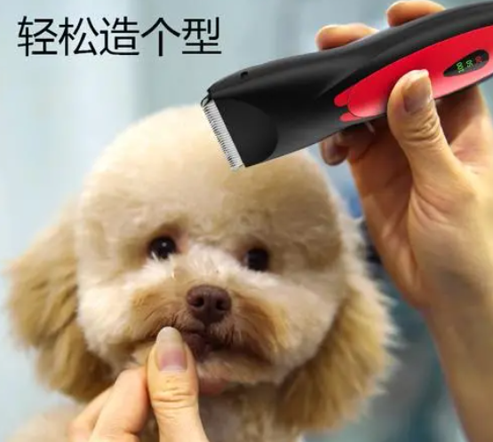 用电推剪给宠物狗剪毛的方法