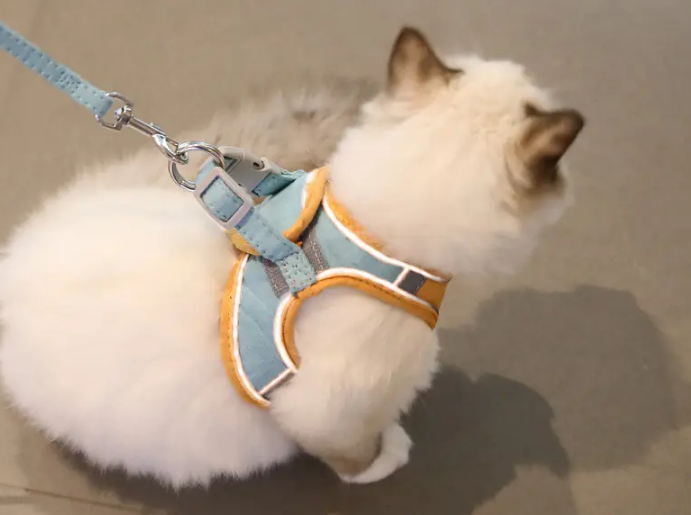 猫猫牵引绳怎么做