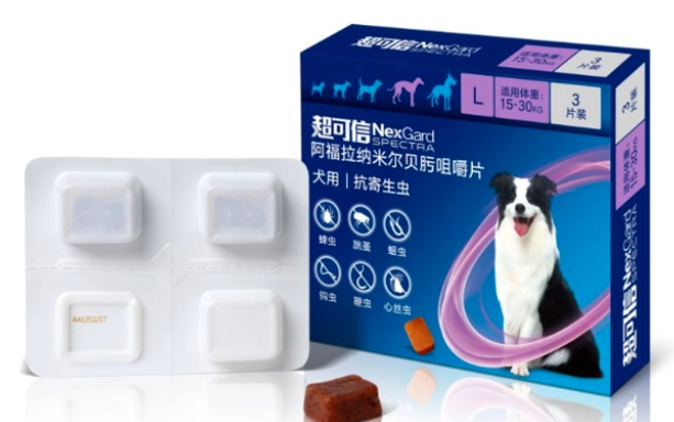 狗驱虫多久一次 体内体外为什么要驱虫 狗驱虫多久一次 体内体外为什么要驱虫