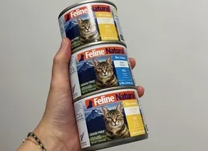好一点的猫罐头有哪些 好一点的猫罐头有哪些