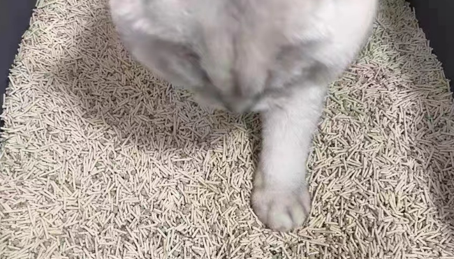 猫砂可以冲厕所吗