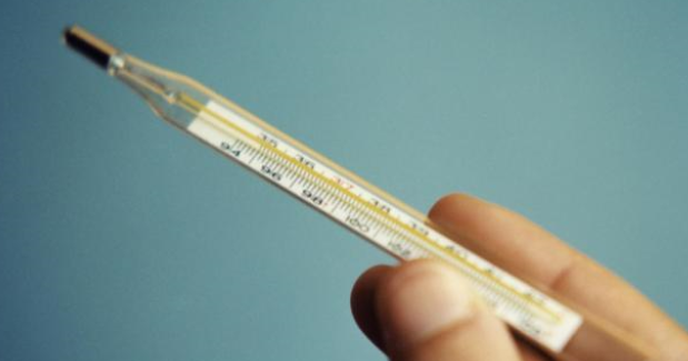狗狗感冒药哪种牌子好 狗狗感冒药哪种牌子好