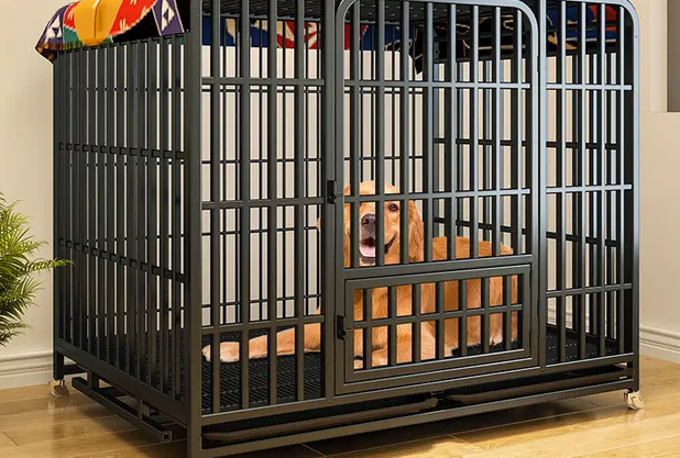 怎样训练狗狗睡狗笼 怎样训练狗狗睡狗笼
