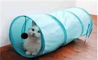 猫猫最喜欢的玩具
