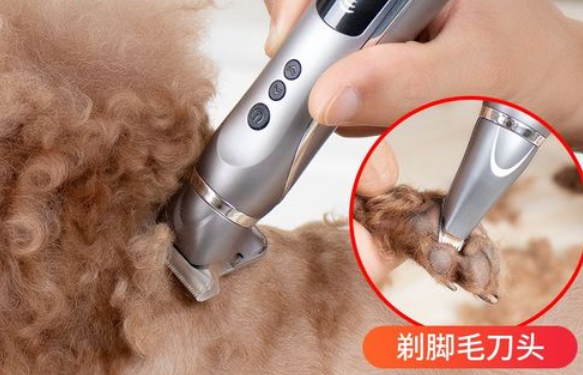 宠物专用电推剪怎么装取