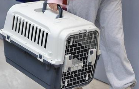 猫咪航空箱标准