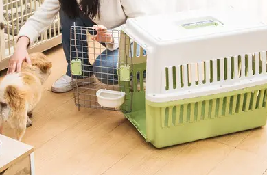 宠物航空箱一般多重
