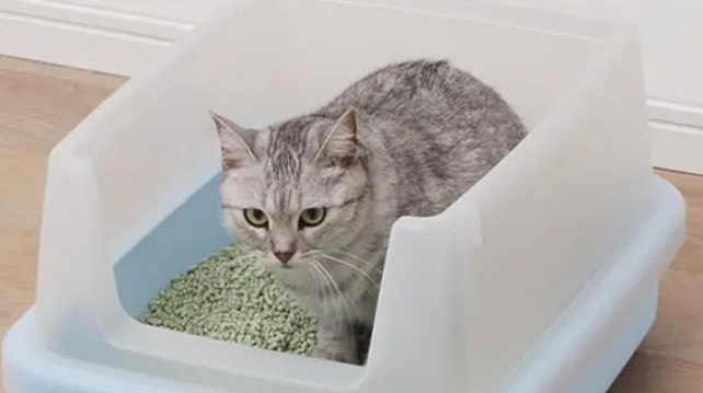 猫砂除臭排行榜 猫砂除臭排行榜