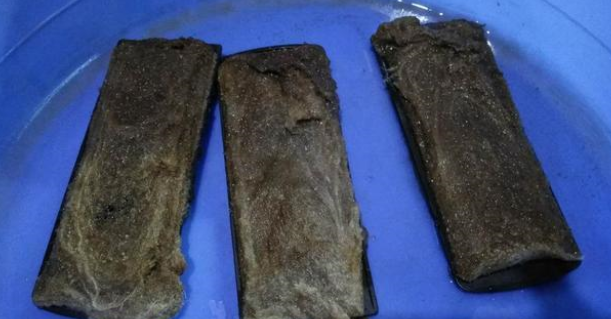 鱼缸水质要想调理到最清澈的状态,我们可以参考四种方法! 鱼缸水质要想调理到最清澈的状态,我们可以参考四种方法!